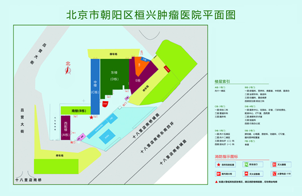 鸡巴肏屄老年人北京市朝阳区桓兴肿瘤医院平面图